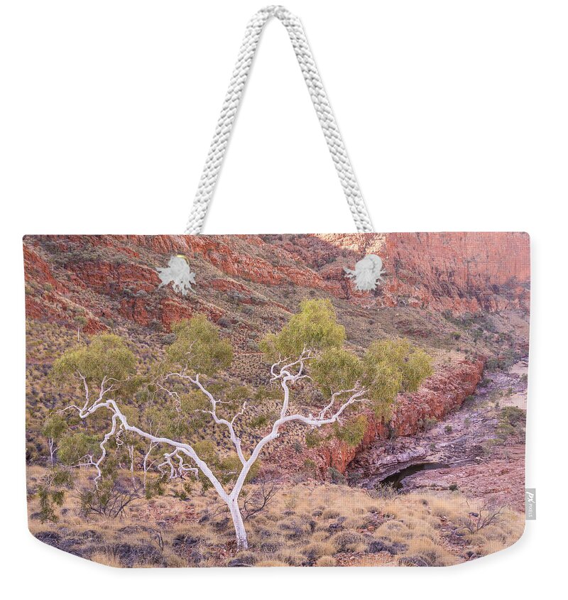 Gumtree Weekender Tote Bag featuring the photograph Ghost Gum by Racheal Christian