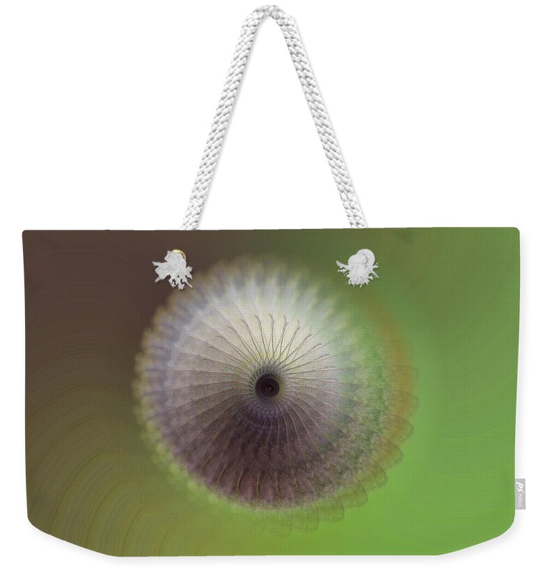 James Smullins Weekender Tote Bag featuring the photograph Ghosts of the Butterflies by James Smullins