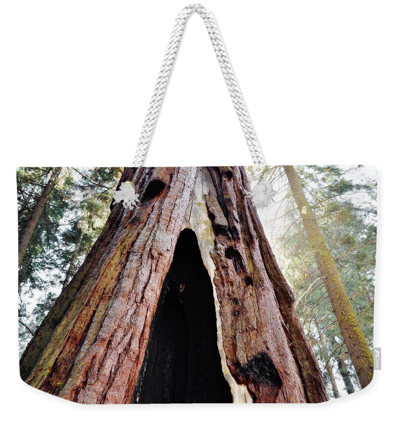 Sequoia National Park Weekender Tote Bag featuring the photograph Giant Forest Giant Sequoia by Kyle Hanson