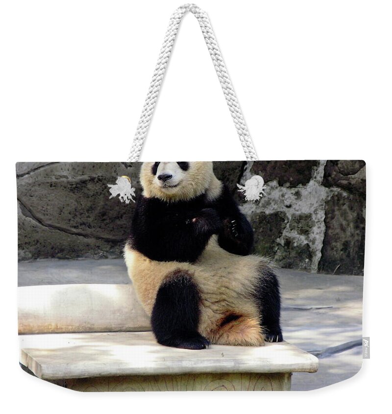 Giant Panda Sitting On Stone Bench Weekender Tote Bag featuring the photograph Giant Panda on Bench by Sally Weigand