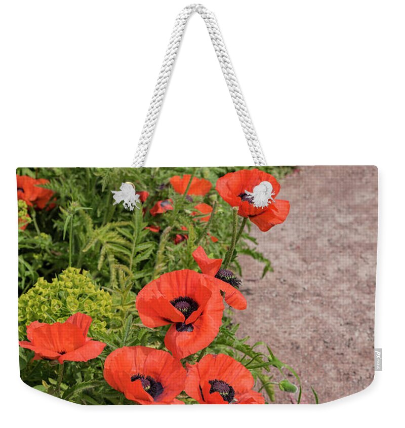 Path Weekender Tote Bag featuring the photograph Giant red poppies by Sophie McAulay