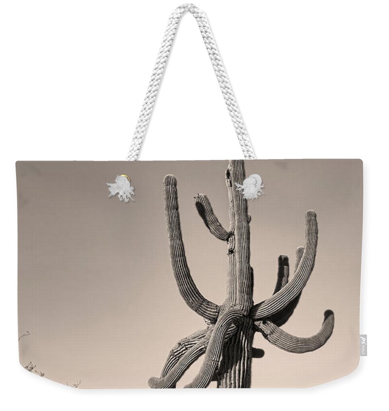 Saguaro Weekender Tote Bag featuring the photograph Giant Saguaro Cactus Sepia Image by James BO Insogna