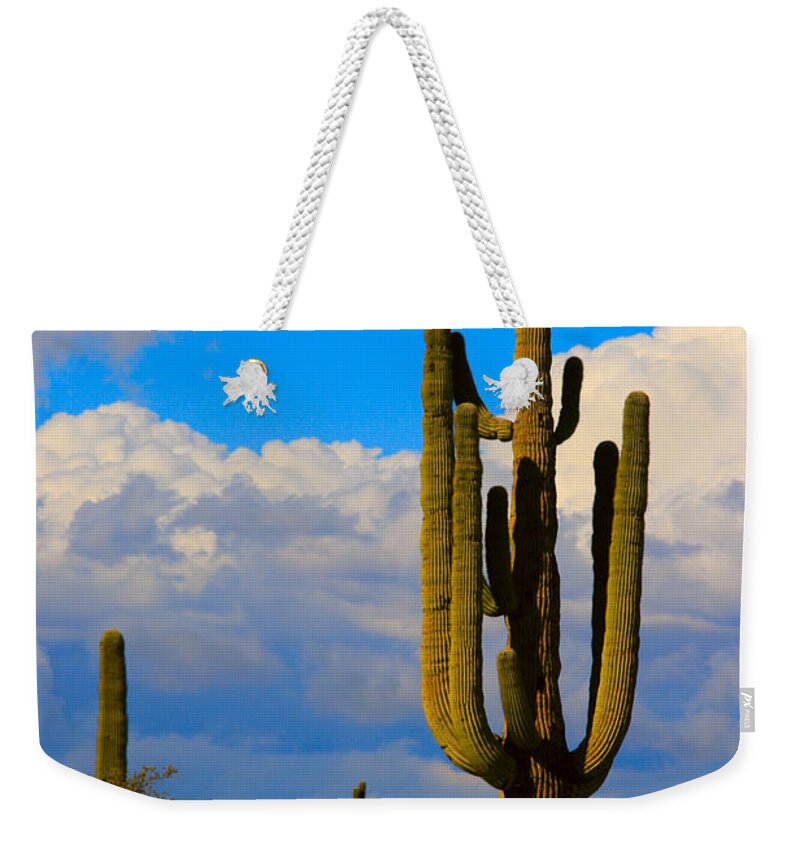 Saguaro Weekender Tote Bag featuring the photograph Giant Saguaro in the Southwest Desert by James BO Insogna