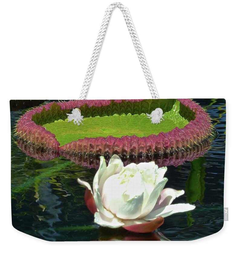 Water Lily Weekender Tote Bag featuring the photograph Giant Water Lily Blossom by Jean Wright