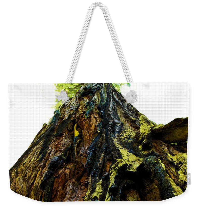 Humboldt County Weekender Tote Bag featuring the photograph Giants of the Earth by Susan Vineyard