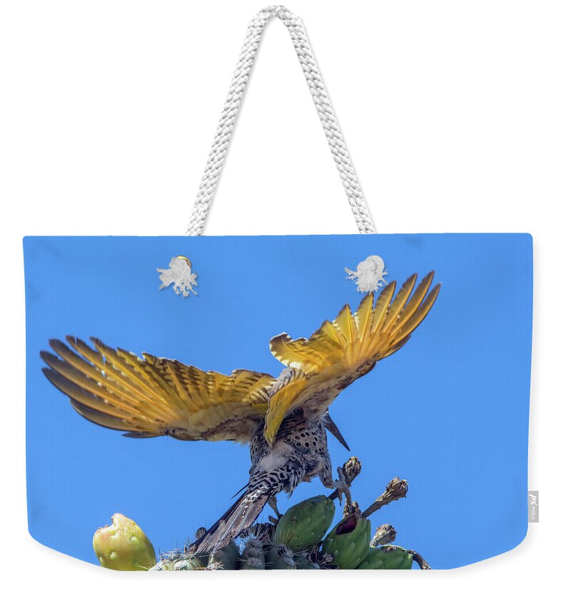 Gilded Weekender Tote Bag featuring the photograph Gilded Flicker 2365 by Tam Ryan