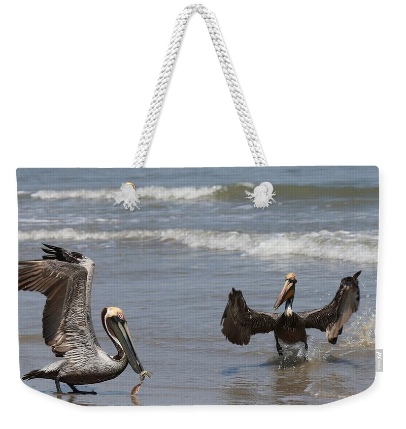 Wild Weekender Tote Bag featuring the photograph Gimme that fish by Christy Pooschke
