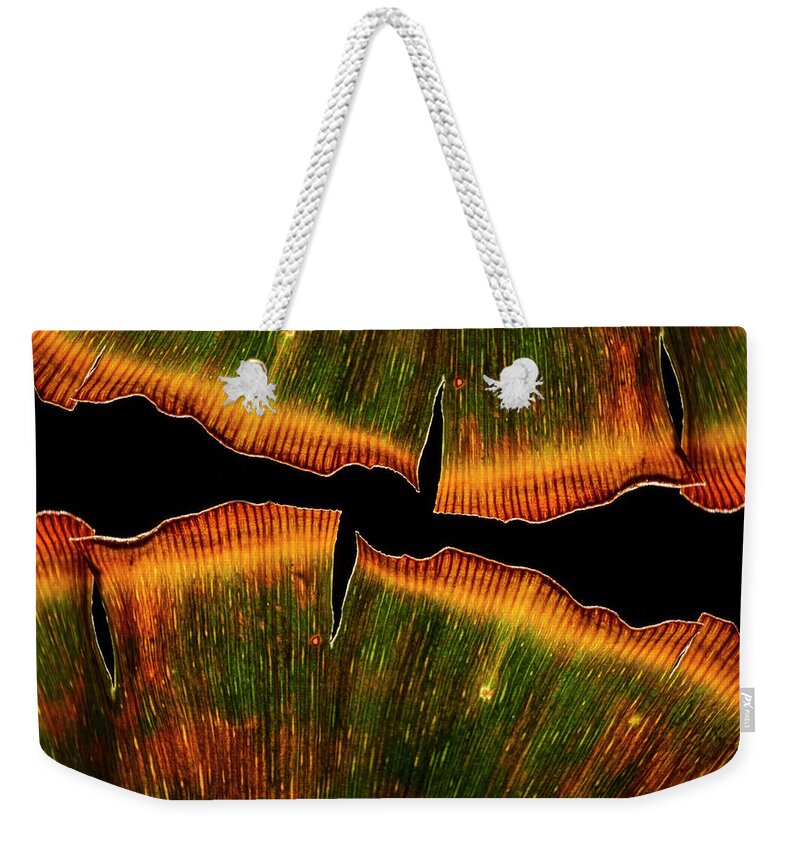 Ginkgo Leaves Weekender Tote Bag featuring the photograph Ginkgo Abstraction2 by Garry McMichael