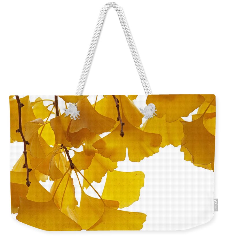 Fn Weekender Tote Bag featuring the photograph Ginkgo Ginkgo Biloba Leaves In Autumn by Aad Schenk