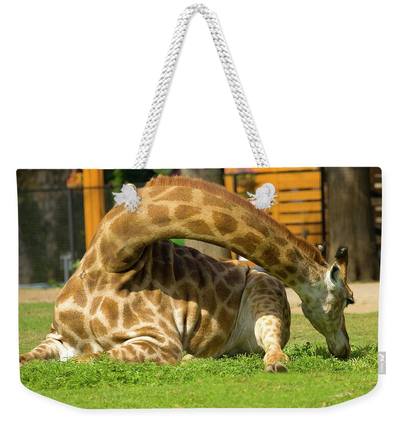 Giraffe Weekender Tote Bag featuring the photograph Giraffe by Irina Afonskaya