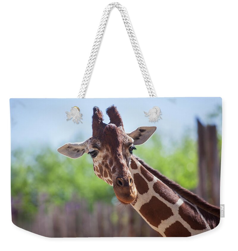 Zoo Weekender Tote Bag featuring the photograph Giraffe by Steve Gravano