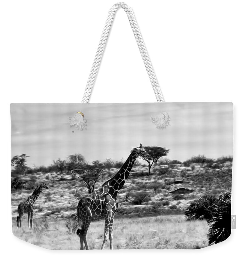 Giraffe Weekender Tote Bag featuring the photograph Giraffes in Black and White by Cathy Anderson