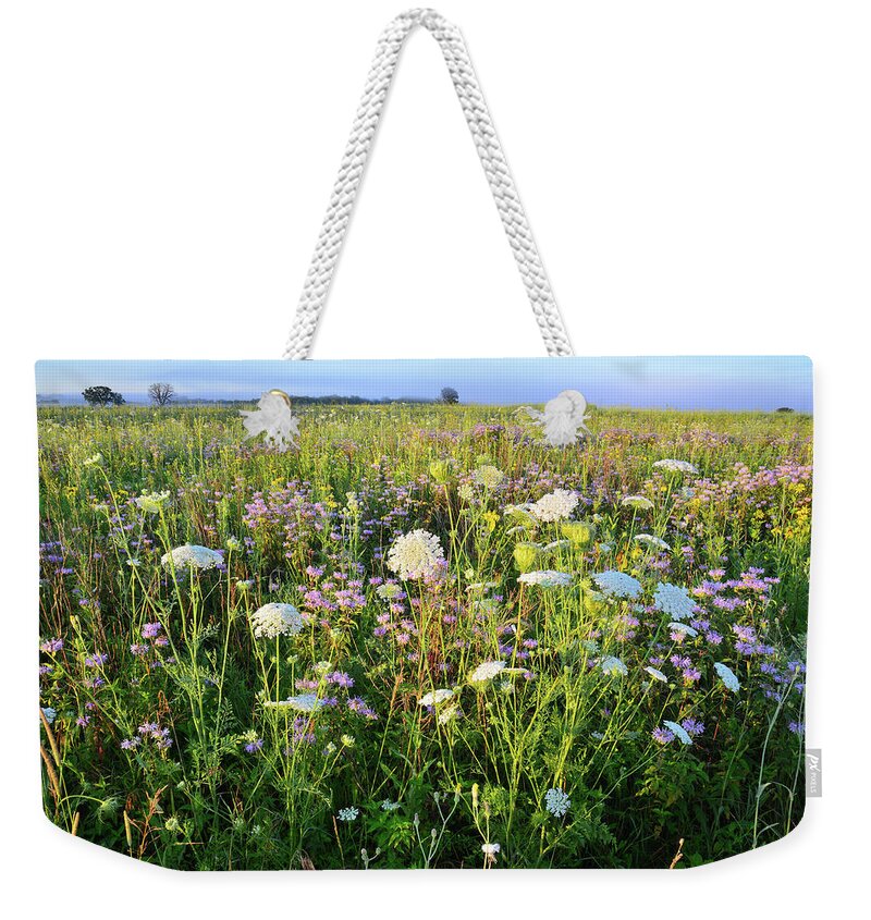Black Eyed Susan Weekender Tote Bag featuring the photograph Glacial Park Wildflower Prairie by Ray Mathis