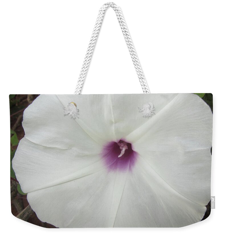 Flower Weekender Tote Bag featuring the photograph Glad Morning Vines by Donna Brown