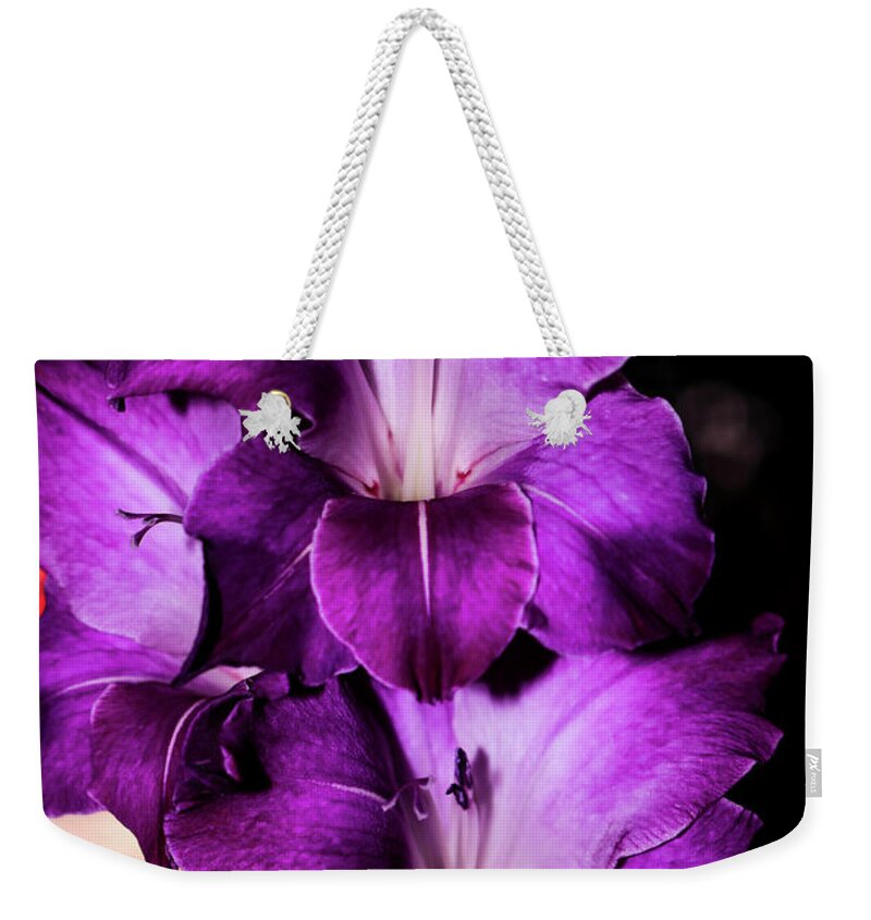  Weekender Tote Bag featuring the photograph Gladiolous by Dr Janine Williams