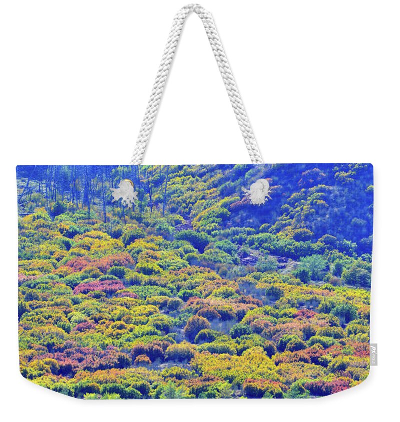 Colorado Weekender Tote Bag featuring the photograph Glenwood Springs Fall Color Spectacle by Ray Mathis