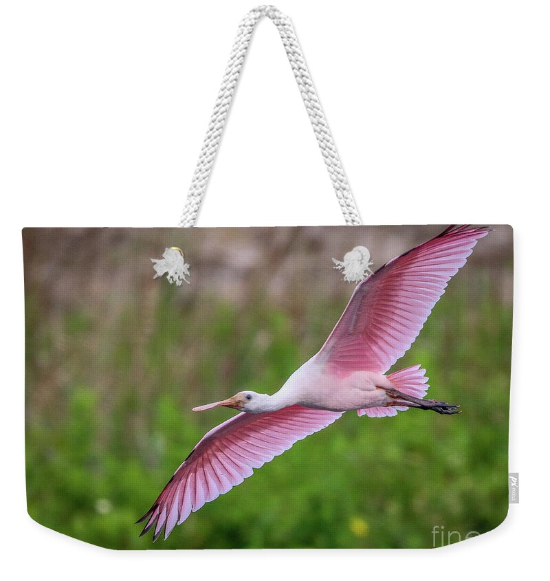 Spoonbill Weekender Tote Bag featuring the photograph Gliding Spoonbill by Tom Claud