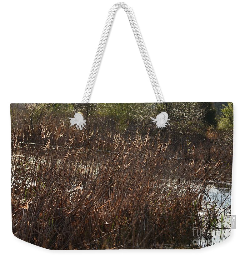 Glistens With Gold Weekender Tote Bag featuring the photograph Glistens With Gold by Maria Urso