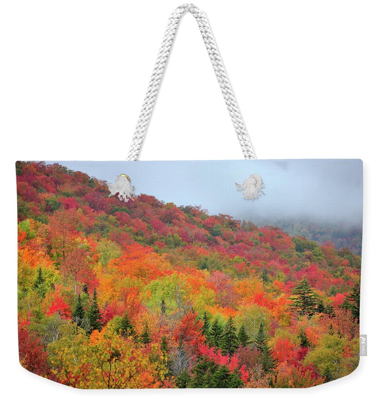 Green Mountains Weekender Tote Bag featuring the photograph Glorious by Betty LaRue