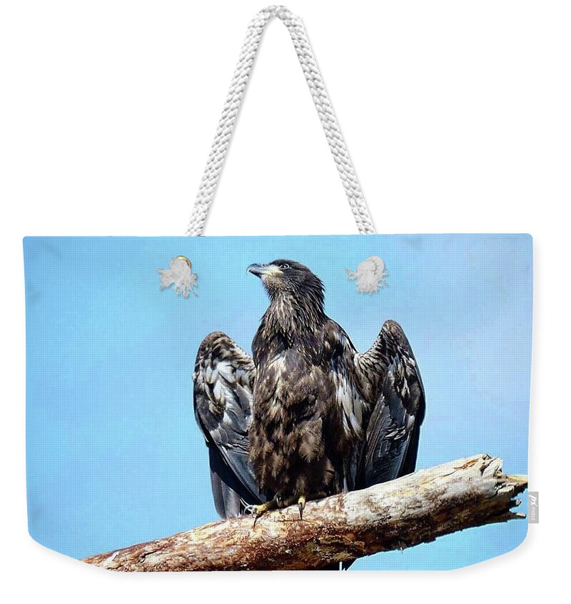 Bald Eagle Weekender Tote Bag featuring the photograph Glorious E9 by Liz Grindstaff