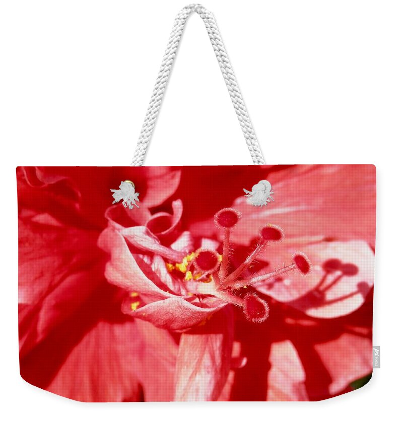 #florida Flower#full Bloom #close #up Weekender Tote Bag featuring the photograph Glorious Red Hibiscus by Belinda Lee