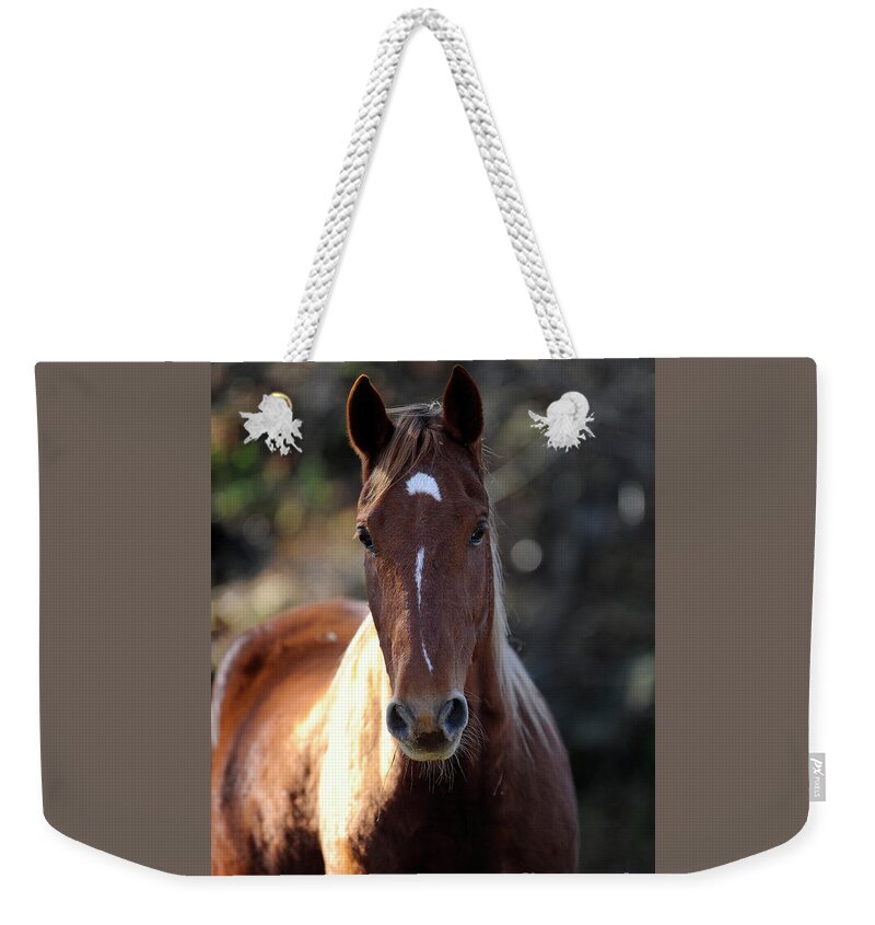 Weekender Tote Bag featuring the photograph Glory #2 by Carien Schippers