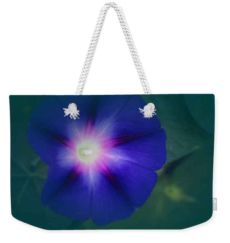  Weekender Tote Bag featuring the photograph Glory of Mornings by The Art Of Marilyn Ridoutt-Greene