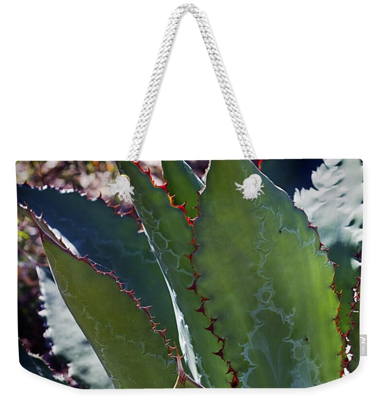 Plant Weekender Tote Bag featuring the photograph Glowing Agave by Phyllis Denton