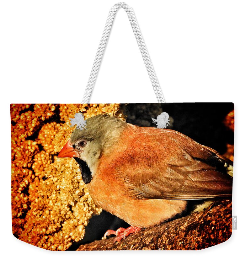 Butterfly World Weekender Tote Bag featuring the photograph Glowing II by Kathi Isserman