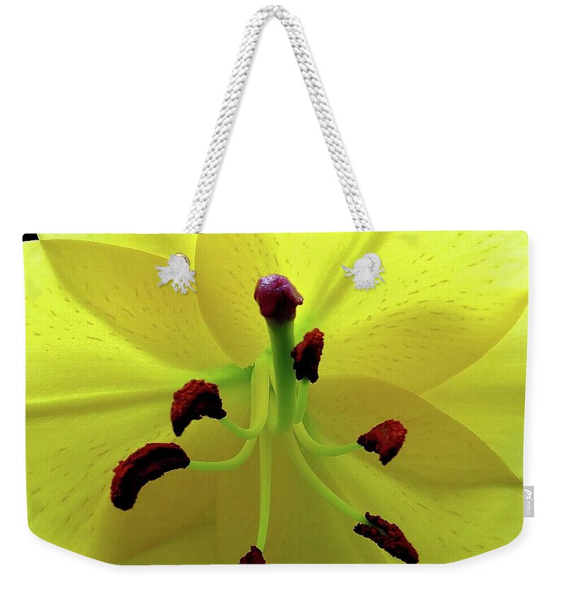Flower Weekender Tote Bag featuring the photograph Glowing Lily by Linda Stern
