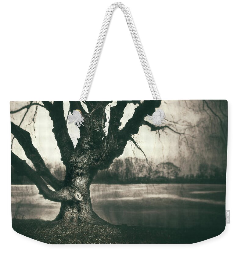 Gnarled Weekender Tote Bag featuring the photograph Gnarled Old Tree by Scott Norris