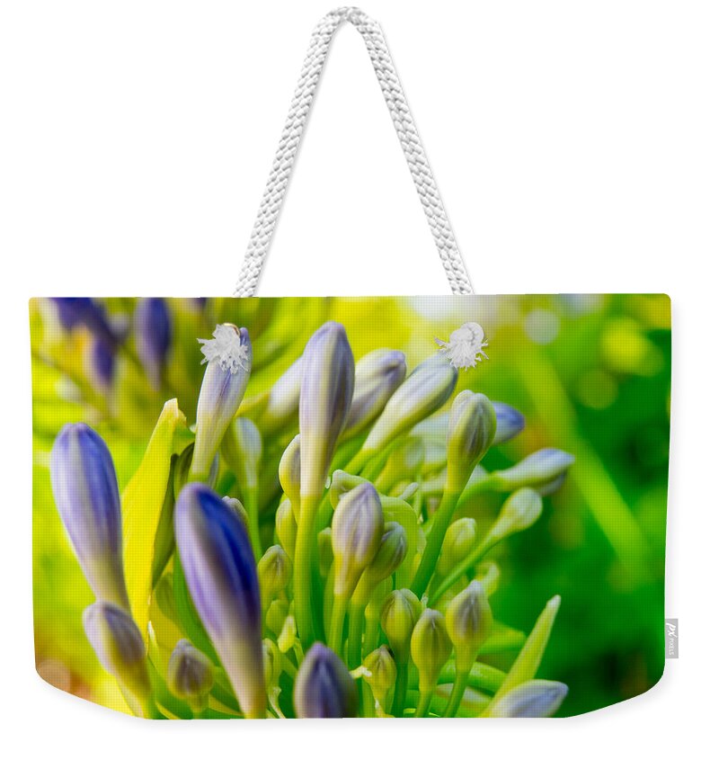 Flowers Weekender Tote Bag featuring the photograph Go Forth by Derek Dean