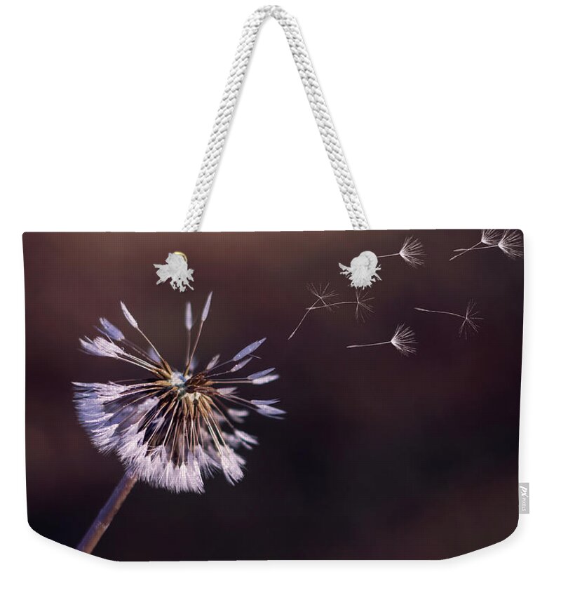 Dandelion Weekender Tote Bag featuring the photograph Go Forth Fall by Heather Applegate