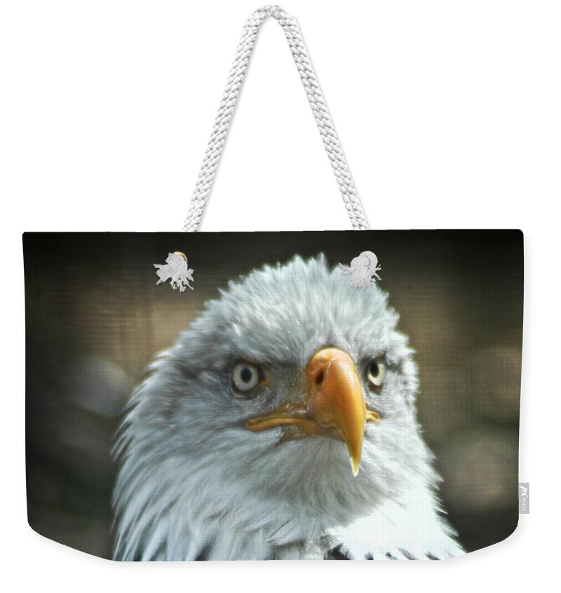 Bald Eagle Weekender Tote Bag featuring the photograph God Bless America by Mike Martin