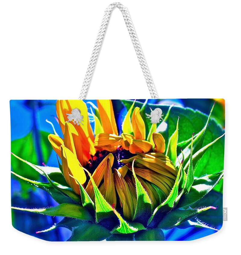 Photograph Of Sunflower Weekender Tote Bag featuring the photograph God's Creation by Gwyn Newcombe