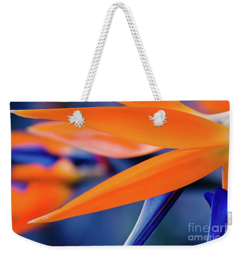 Bird Of Paradise Weekender Tote Bag featuring the photograph Gods Garden by Sharon Mau