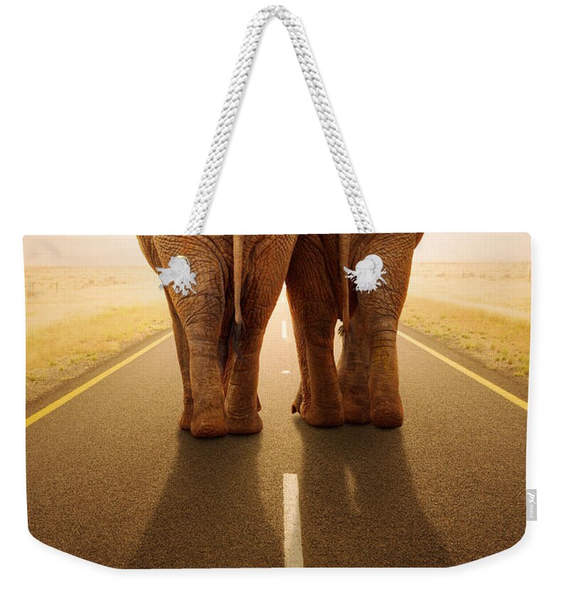 Elephant Weekender Tote Bag featuring the photograph Going away together / travelling by road by Johan Swanepoel