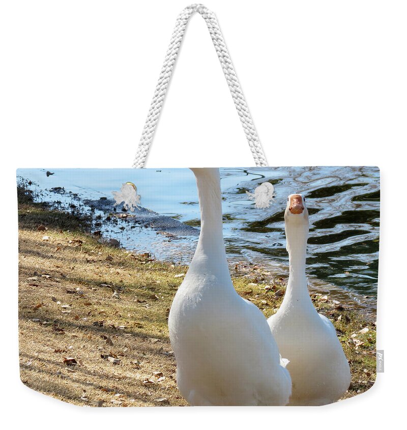 White Weekender Tote Bag featuring the photograph Going for a Walk by Laurel Powell