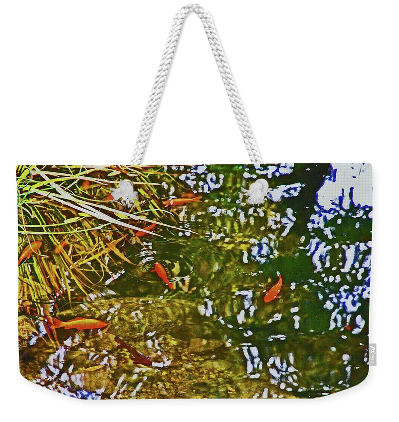 Gold Fish In A Pond Weekender Tote Bag featuring the photograph Gold Fish in a Pond 2 10232017 Colorado by David Frederick