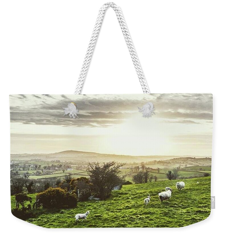 Irish Weekender Tote Bag featuring the photograph Gold 'n' Green by Aleck Cartwright