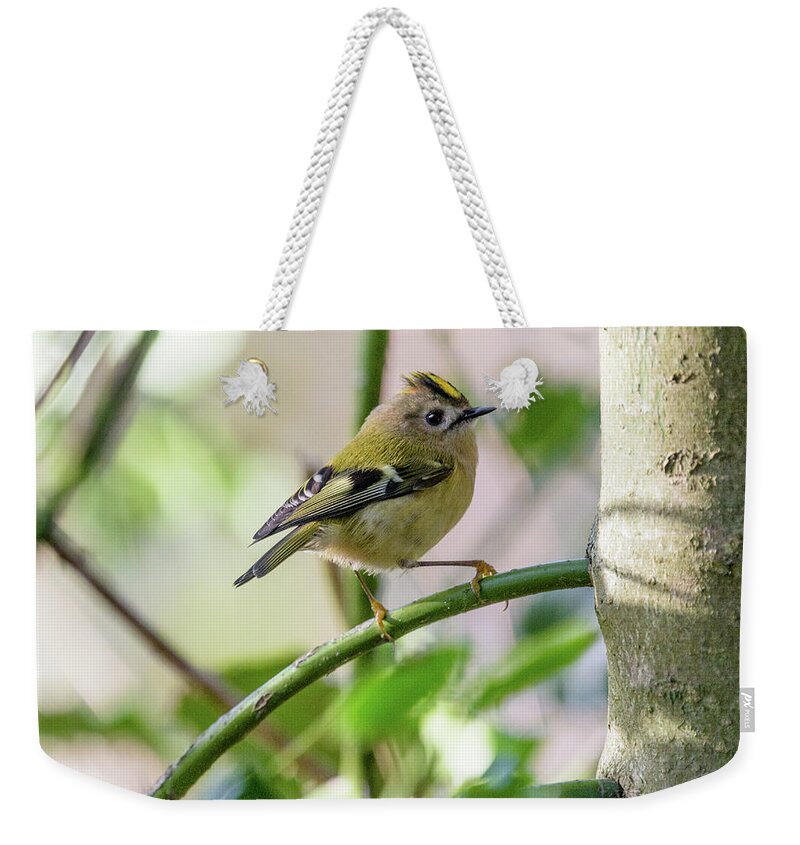 Goldcrest Weekender Tote Bag featuring the photograph Goldcrest by Matt Malloy