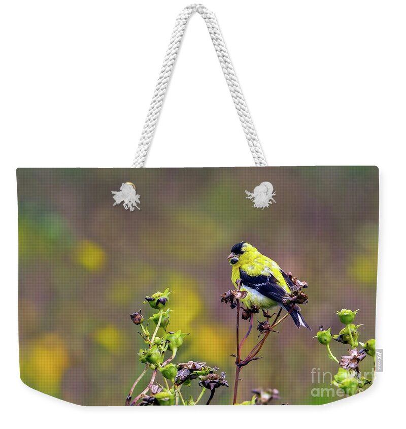 Golden Afternoon Weekender Tote Bag featuring the photograph Golden Afternoon by Gary Holmes