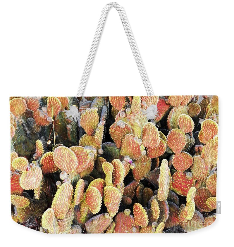 Cactus Weekender Tote Bag featuring the photograph Golden Beaver Tail Catcus by Linda Phelps