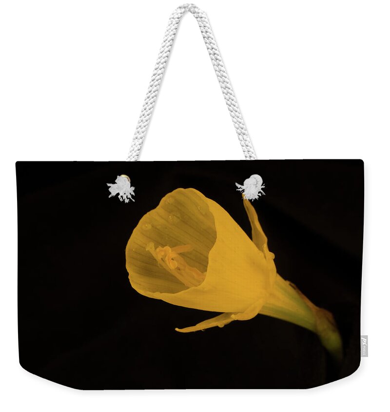 Golden Bells Carpet Daffodil Weekender Tote Bag featuring the photograph Golden Bells Carpet Daffodil Reproductive Structures by Douglas Barnett