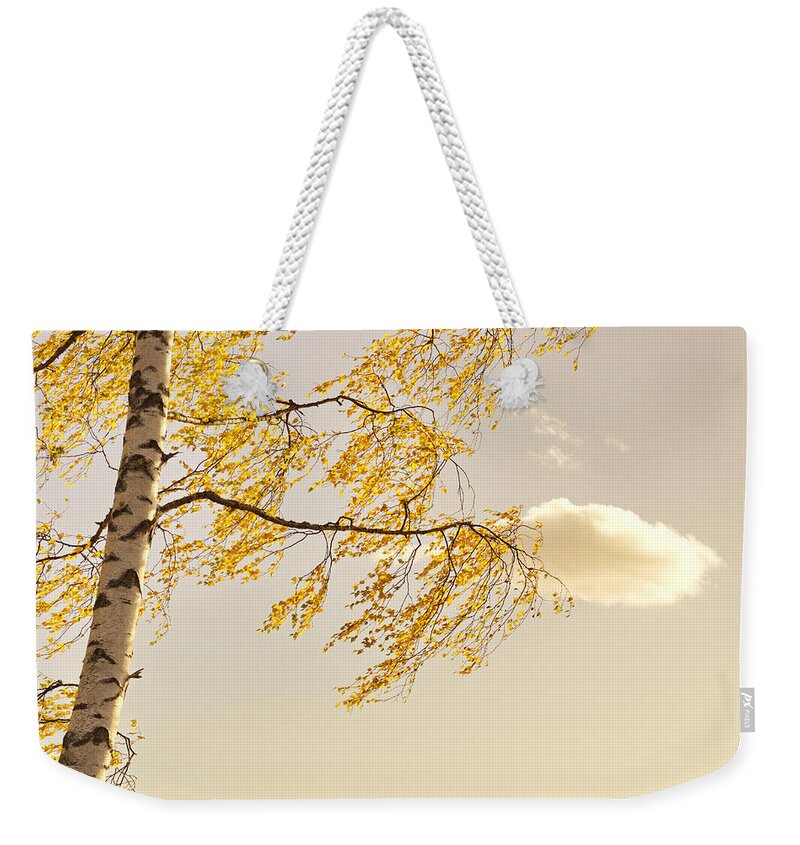 Autumn Weekender Tote Bag featuring the photograph Golden birch leaves fluttering in a morning breeze by Ulrich Kunst And Bettina Scheidulin