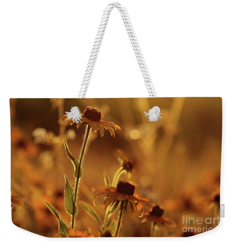 Flower Weekender Tote Bag featuring the photograph Golden Black Eyed Susan by Jimmy Ostgard