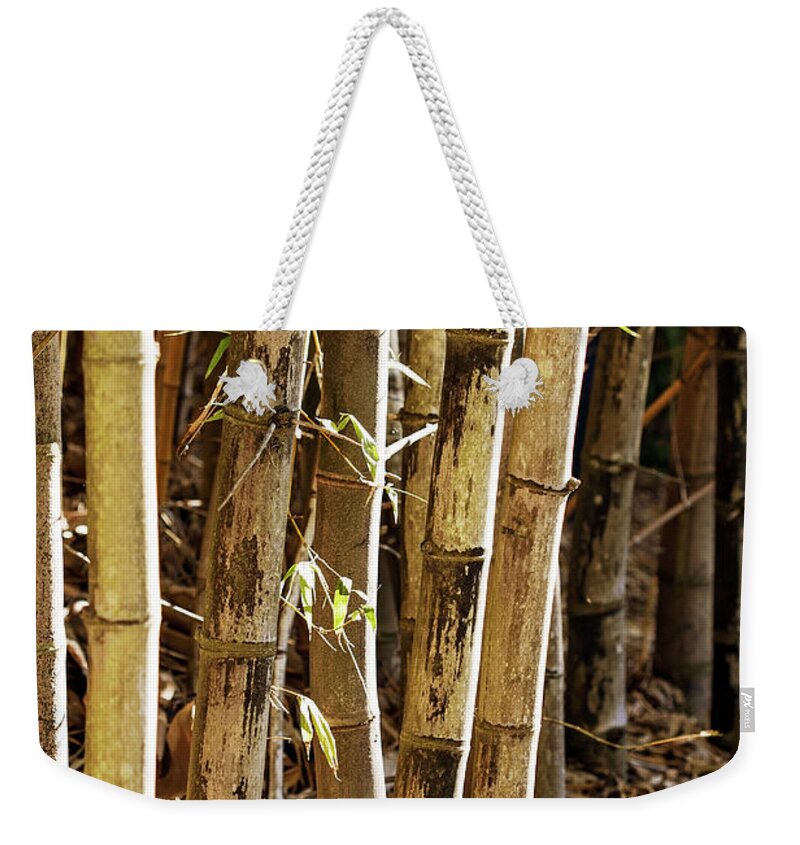 Bamboo Weekender Tote Bag featuring the photograph Golden Canes by Linda Lees