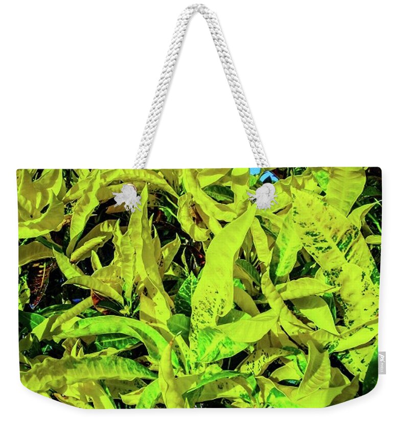 Golden Croton Weekender Tote Bag by Louie Navoni - Pixels