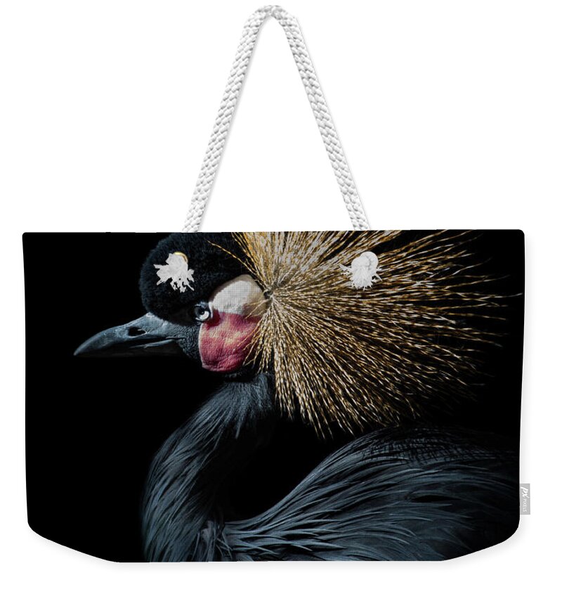 Bird Weekender Tote Bag featuring the photograph Golden Crown by Bruce Bonnett