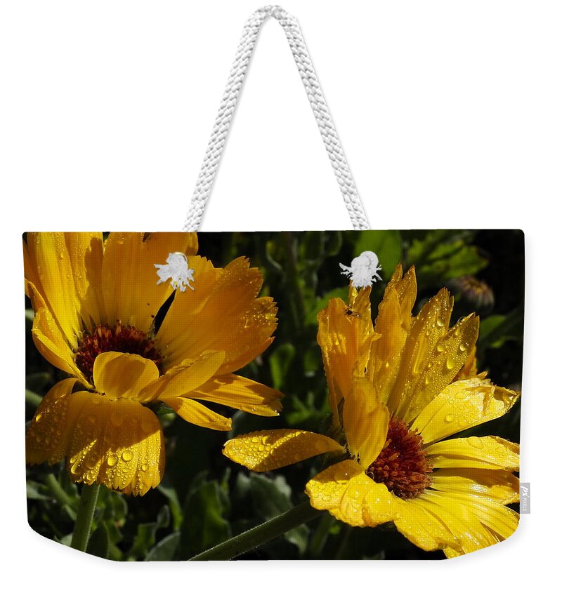 Botanical Weekender Tote Bag featuring the photograph Golden Daisies by Richard Thomas
